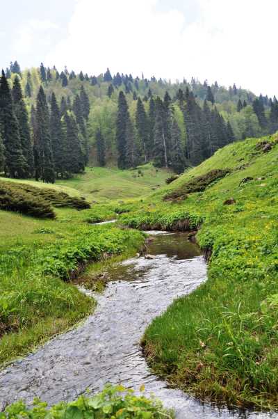 Derebalık Yaylası